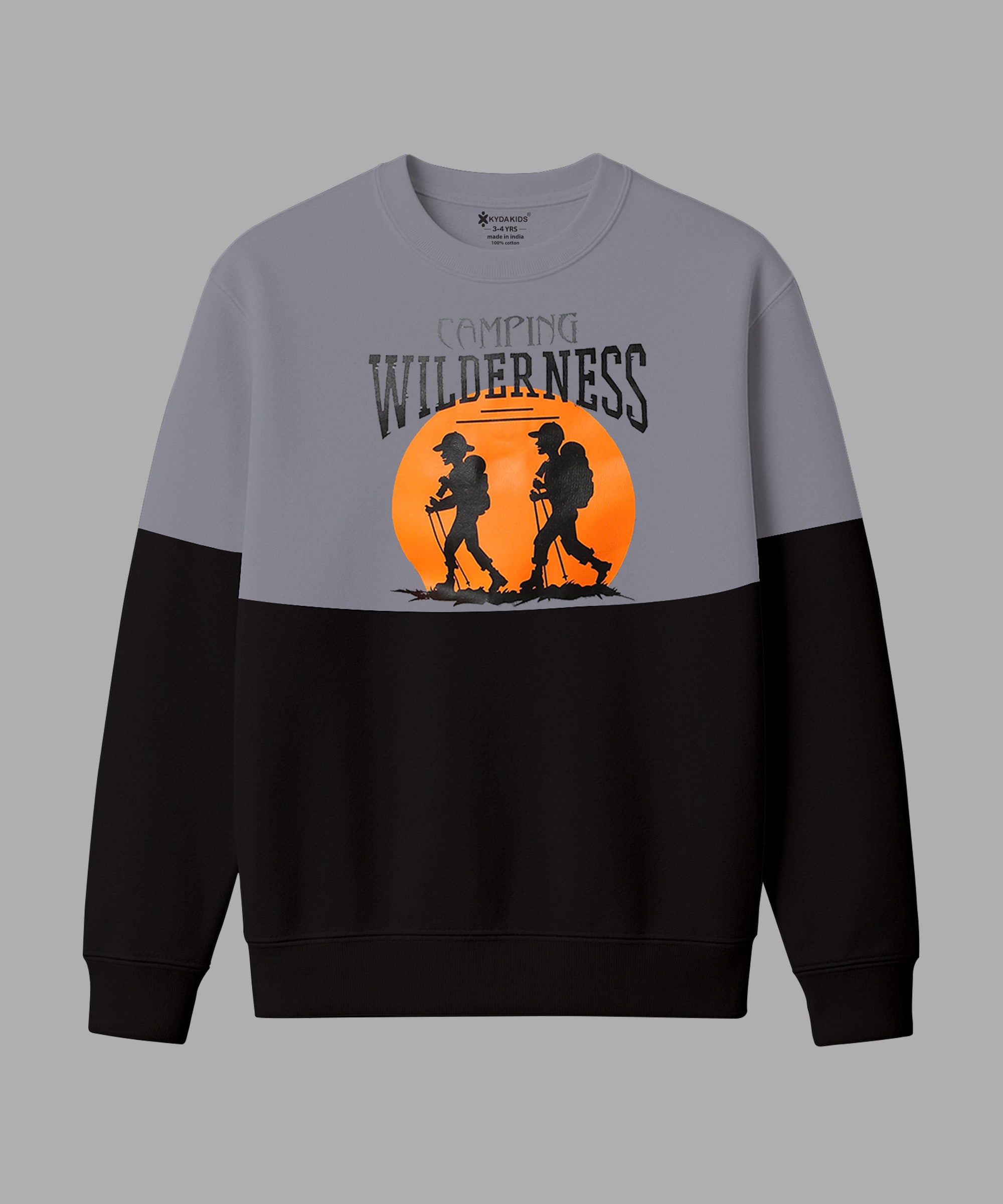 Boys Printed Sweatshirt