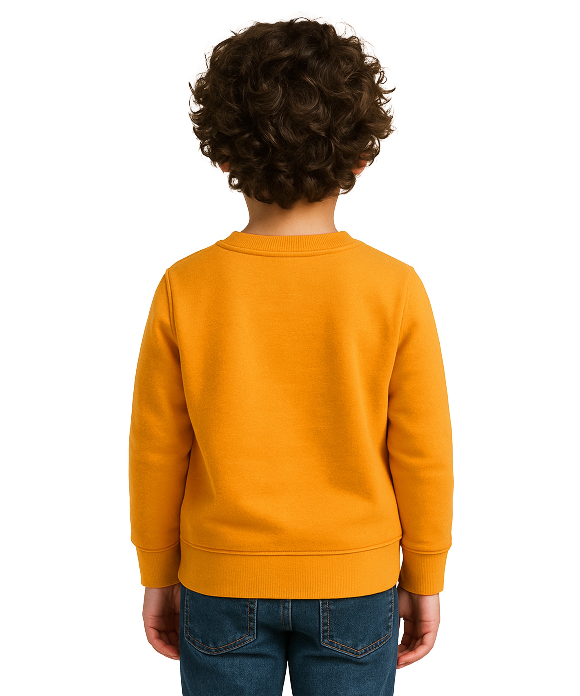 Boys Printed Sweatshirt