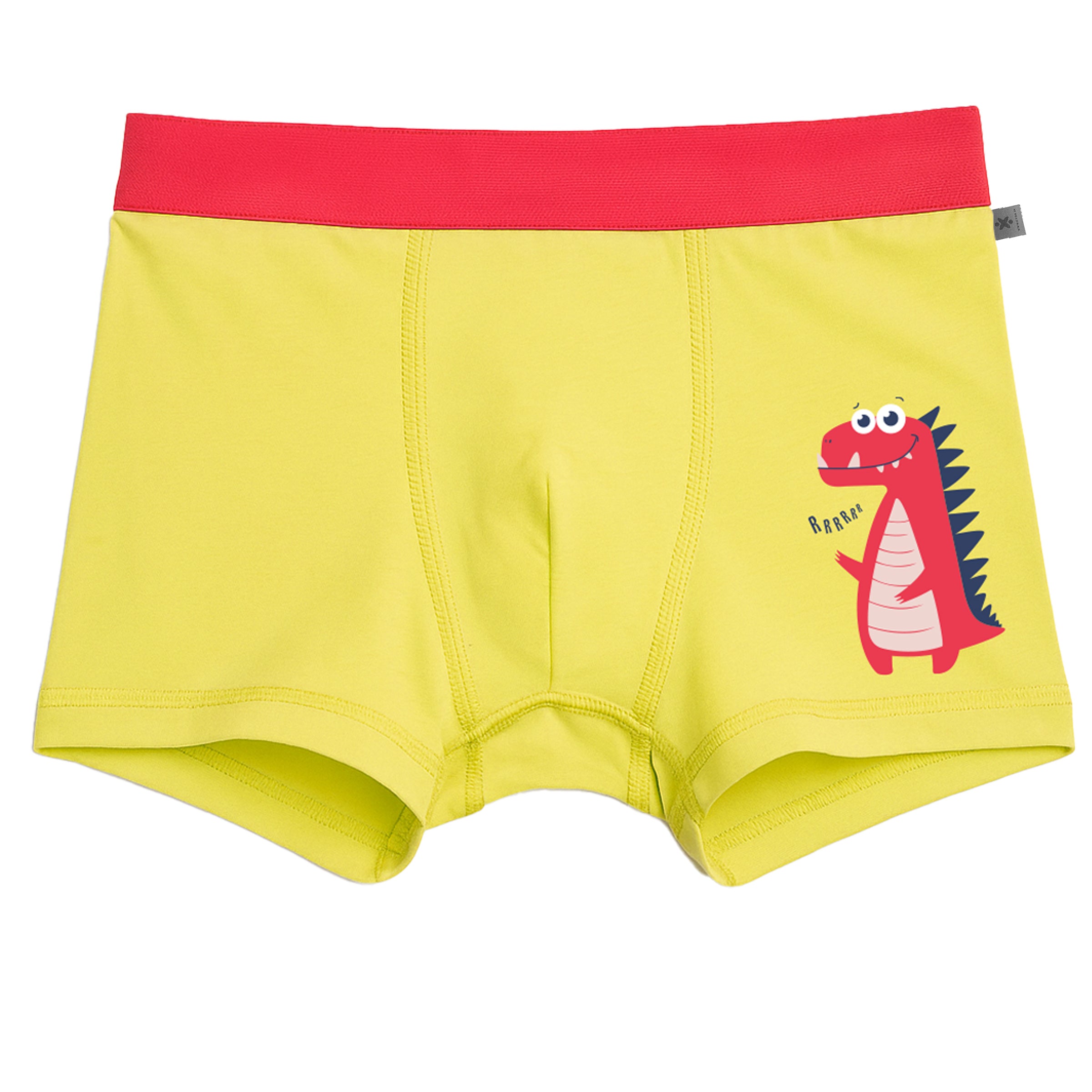 Unisex Regular Fit Printed Trunks | Pack of 3
