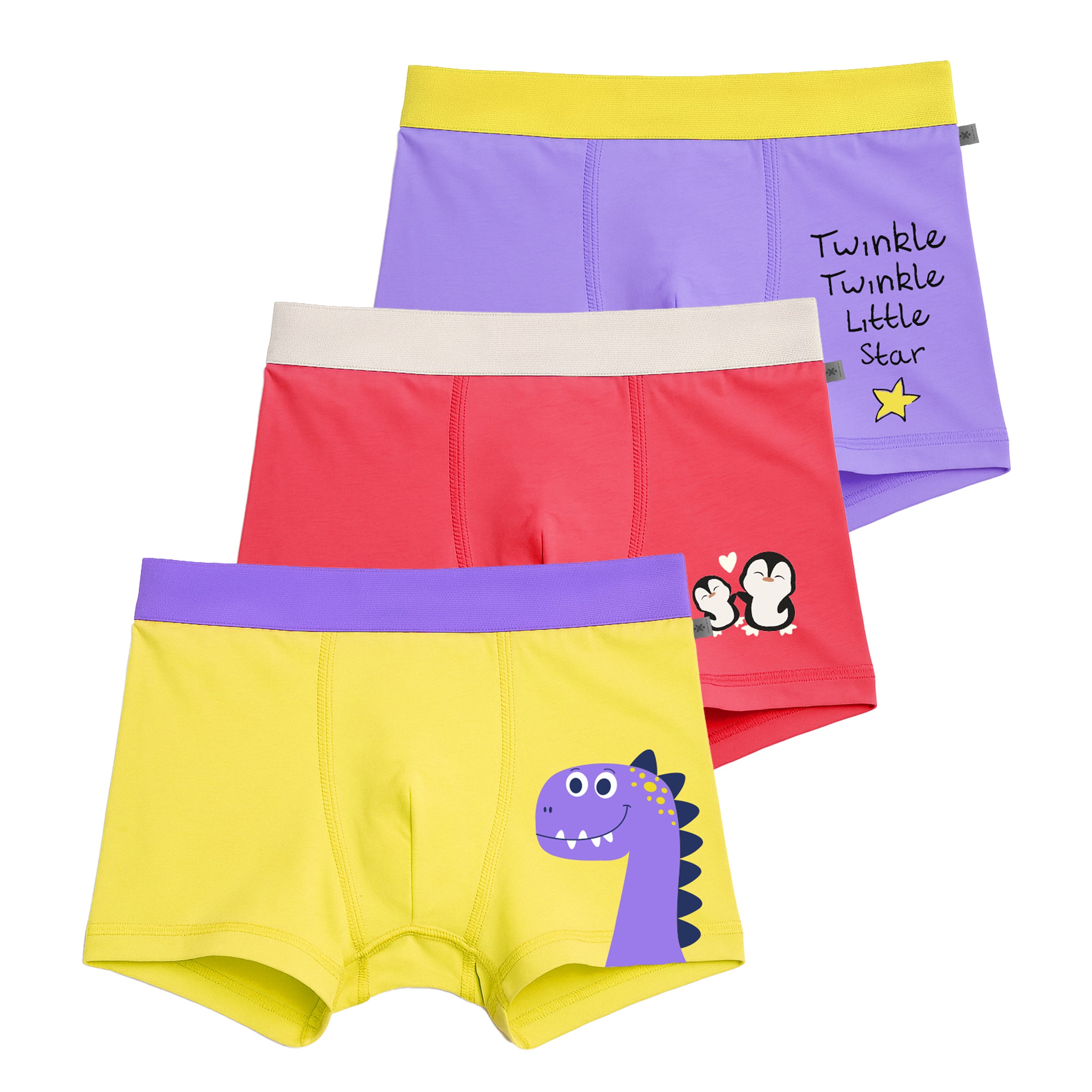 Unisex Regular Fit Printed Trunks | Pack of 3